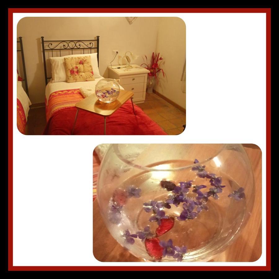 Felix House Bed & Breakfast Codevilla Bagian luar foto